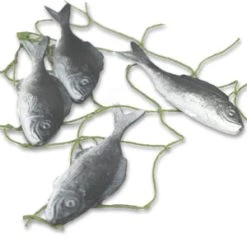 Vendor-unknown Sardines (4)