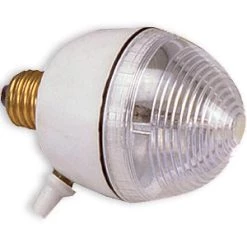 Vendor-unknown Egg Strobe Newest Products