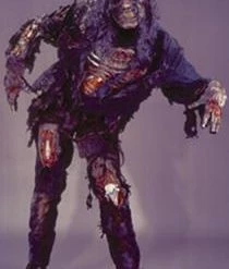 Fun World Deluxe 3D Zombie Adult Costume