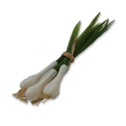 Vendor-unknown Scallions (Bunch) Food And Drink