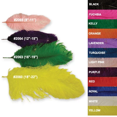 Zucker Feather Products Ostrich Plume 8-11 Feather Boas 1 Zucker Feather Products Ostrich Plume 8-11 Feather Boas