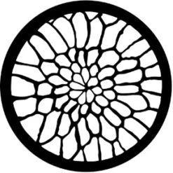 Vendor-unknown Soft Web