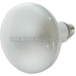 Vendor-unknown 300W Reflector Lamp Newest Products