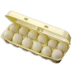 Vendor-unknown Food And Drink Eggs In A Carton