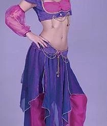 Fun World Newest Products Deluxe Belly Dancer Adult Costume