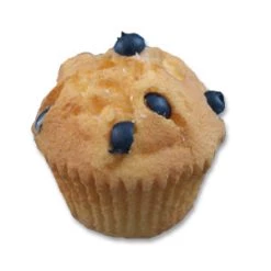 Vendor-unknown Blueberry Muffin