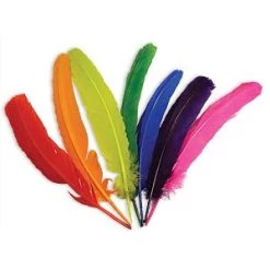 Zucker Feather Products Quills