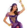 Vendor-unknown Newest Products Magical Gypsy Costume