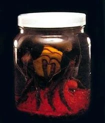 Don Post Studios Killer Bee In A Jar Newest Products