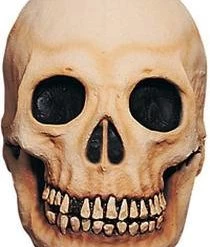 Mask Illusions Newest Products Large Deluxe Skull Prop