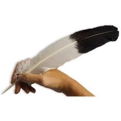 Vendor-unknown Feather Boas Imitation Eagle Quill