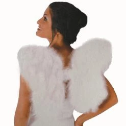 Vendor-unknown Soft Feather Wings