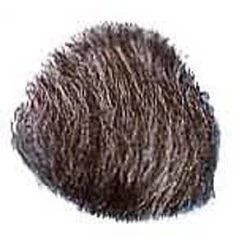 Vendor-unknown Beards And Mustaches One Point Beard