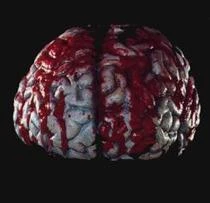 Don Post Studios Brain Prop