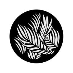 Vendor-unknown Palm Newest Products