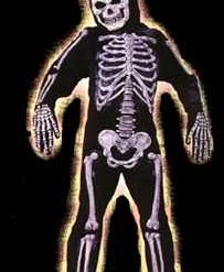 Fun World Newest Products Childs 3-D Skelebones