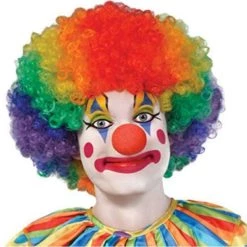Theatre House Clown Wig