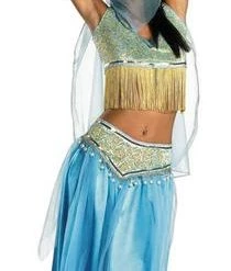 Disguise Desert Dancer Genie Adult Costume