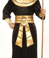 Forum Novelties Pharaoh Adult Costume (New) Newest Products