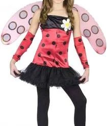 Fun World Newest Products Lady Bug Child Costume