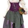 Fun World Deluxe Tavern Wench Adult Costume
