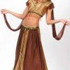 Fun World Exotic Belly Dancer Adult Costume