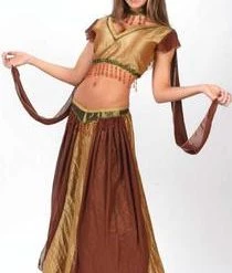 Fun World Exotic Belly Dancer Adult Costume