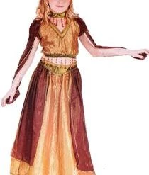 Fun World Newest Products Child Belly Dancer Costume