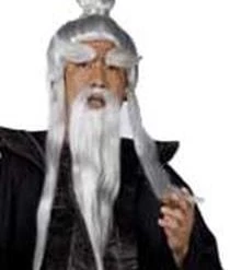 Fun World Beards And Mustaches Sensei Wig And Beard Set