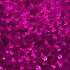 Vendor-unknown 2 Flat Sequin Trim (Stretch) Newest Products