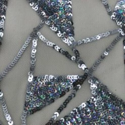 Theatre House J-LO Fabric: Sequin Stretch Net Newest Products