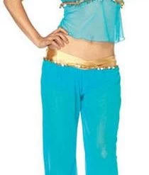 Leg Avenue Sexy Arabian Beauty Costume