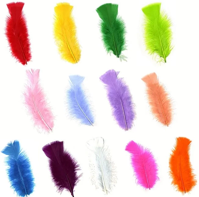 Zucker Feather Products Loose Feathers Feather Boas 11 Zucker Feather Products Loose Feathers Feather Boas