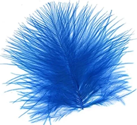Zucker Feather Products Loose Feathers Feather Boas 14 Zucker Feather Products Loose Feathers Feather Boas