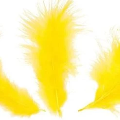 Zucker Feather Products Loose Feathers Feather Boas 20 Zucker Feather Products Loose Feathers Feather Boas