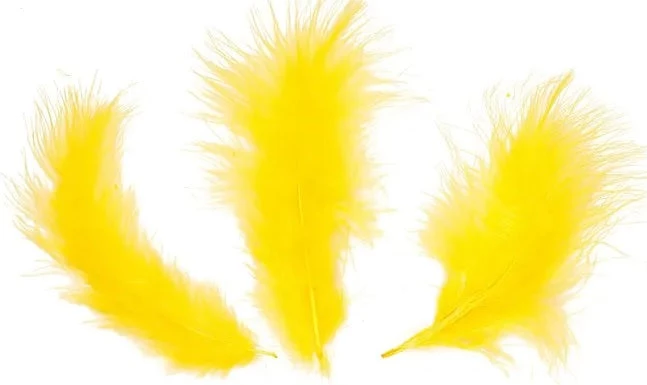 Zucker Feather Products Loose Feathers Feather Boas 7 Zucker Feather Products Loose Feathers Feather Boas
