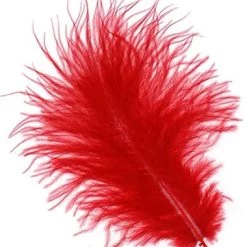 Zucker Feather Products Loose Feathers Feather Boas 18 Zucker Feather Products Loose Feathers Feather Boas