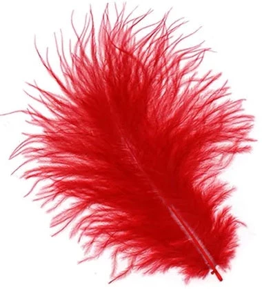 Zucker Feather Products Loose Feathers Feather Boas 5 Zucker Feather Products Loose Feathers Feather Boas