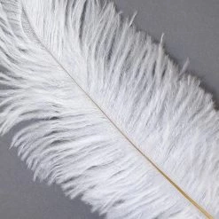 Zucker Feather Products Ostrich Plume 16-19
