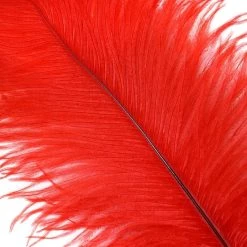 Zucker Feather Products Ostrich Plume 16-19