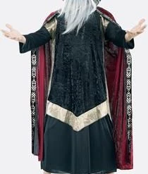 Paper Magic Group Plus Size Wizard Costume