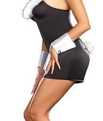 Dream Girl Newest Products Sexy Thumper Bunny Adult Costume