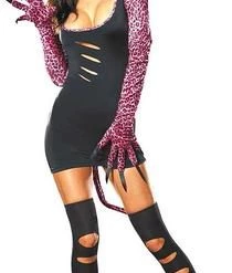 Dream Girl Sexy Cat Fight Costume