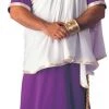 Rubies Plus Size Julius Caesar Costume