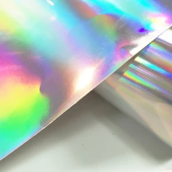 Theatre House Holographic Vinyl - 54/55