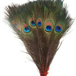 Zucker Feather Products Peacock Tail Feather