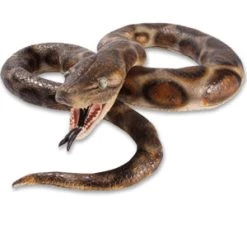 Vendor-unknown Python 6'