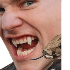 Vendor-unknown Teeth Custom Fangs Viper By Scarecrow̫