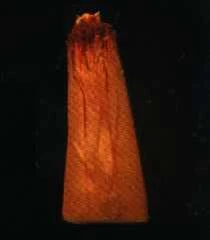 Cinema Secrets Hacked Off Hand