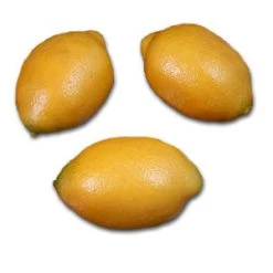 Vendor-unknown Jumbo Lemon Food And Drink